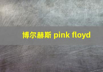 博尔赫斯 pink floyd